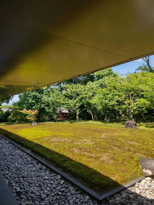 【京都】平等院を散策