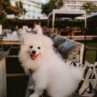 The Sky Gallery ร้านอาหารบรรยากาศดีริมทะเลพัทยา!