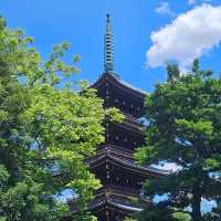 日本第一座公園:上野恩賜公園