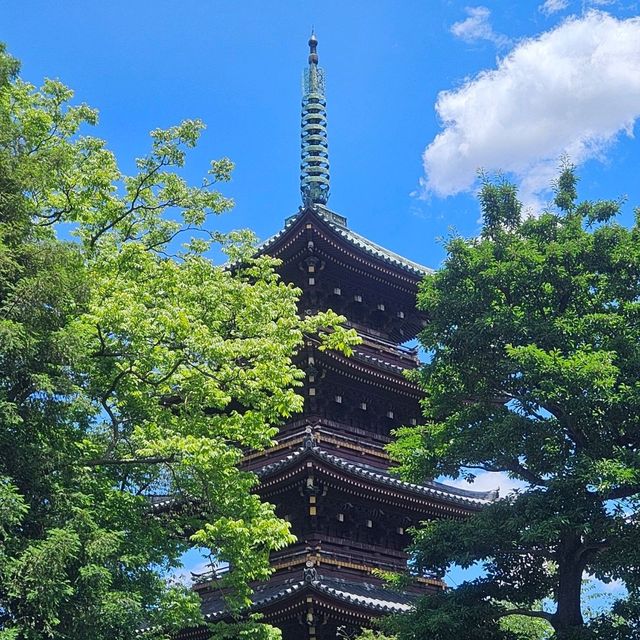 日本第一座公園:上野恩賜公園