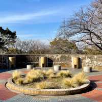 横浜の名所がぎゅっと詰まった「山下公園」