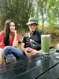 กลางป่าคาเฟ่ the forest hub