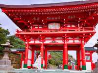驚濤駭浪邊的鵜戶神宮⛩️