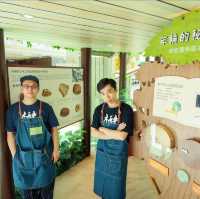 超人氣木系遊樂園「木育森林」香港站