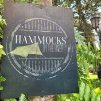 Hammock Galore