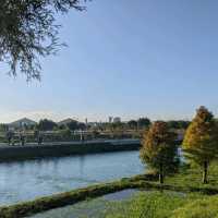 台中西屯 | 台中中央公園，市區內最美公園❤️