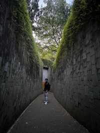 จุดถ่ายรูปยอดฮิต ปักหมุด Fort Canning Tree Tunnel