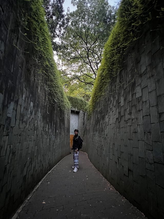 จุดถ่ายรูปยอดฮิต ปักหมุด Fort Canning Tree Tunnel