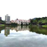 湖畔漫步🌳🏞️台北碧湖公園💎