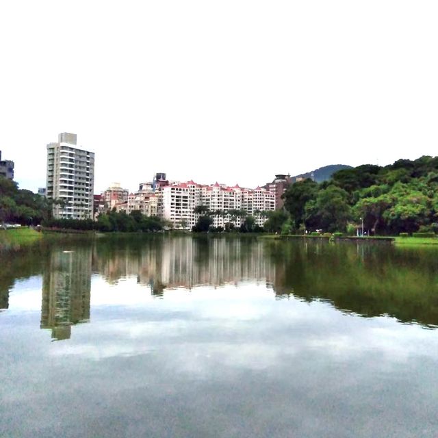 湖畔漫步🌳🏞️台北碧湖公園💎