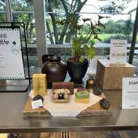 24h in Jeju - Innisfree Jeju House