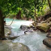 สวนรุกขชาติวังก้านเหลือง