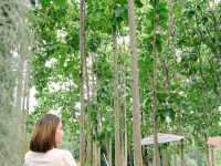 สระบุรี-โคราช-นครนายก