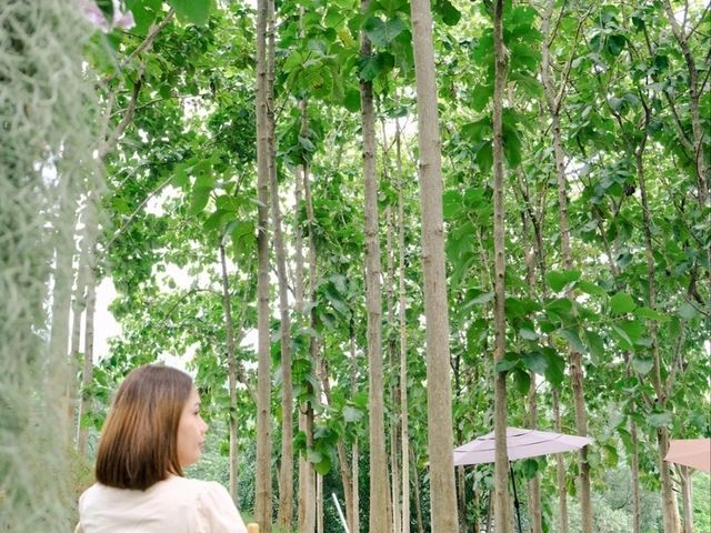 สระบุรี-โคราช-นครนายก