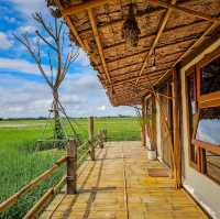 ที่พักเปิดใหม่ ชมวิวนาข้าว พิษณุโลก