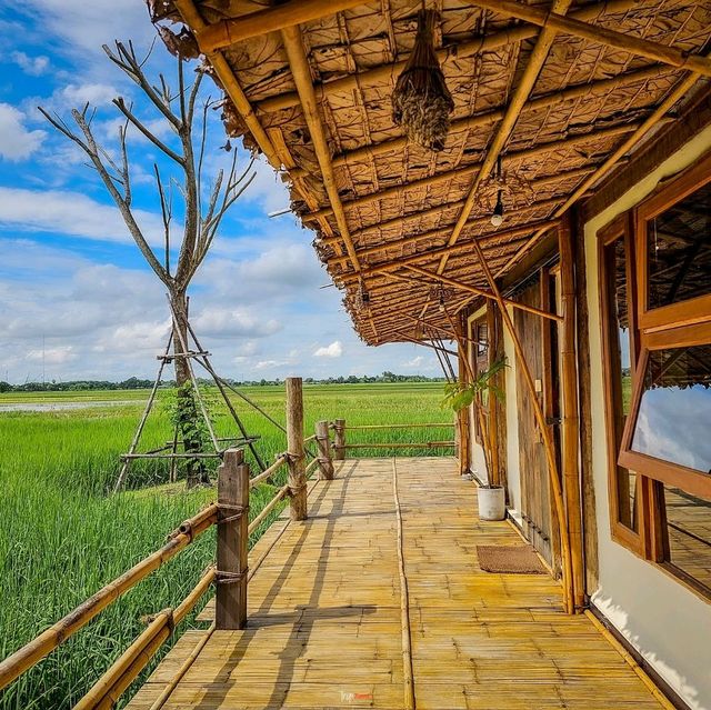 ที่พักเปิดใหม่ ชมวิวนาข้าว พิษณุโลก