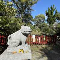 【大阪府】阪神タイガースファンの聖地！？大江神社