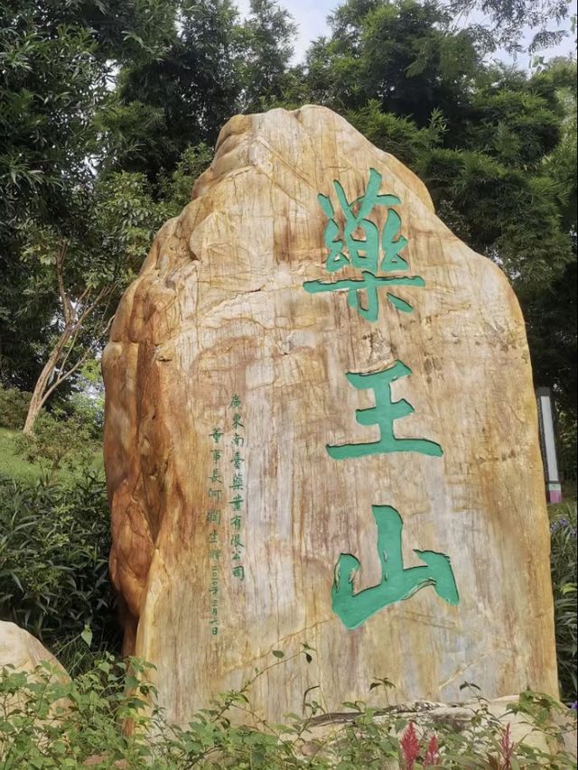 中醫的秘密🌿📚💫 廣東中醫藥博物館