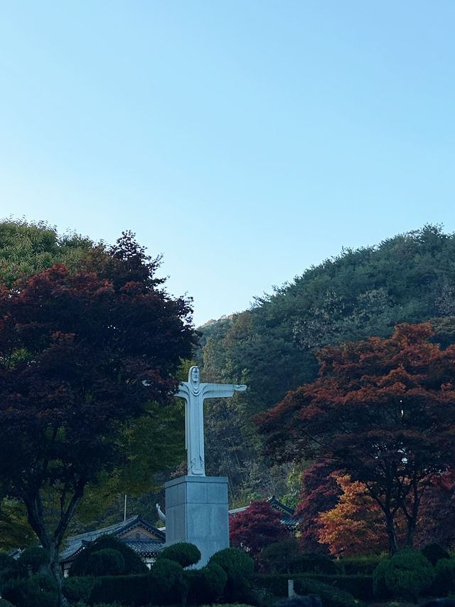 가을단풍 구경하기 좋은 “배론성지”🍁