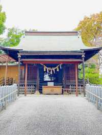 【神奈川県/星川杉山神社】地元密着！高台にある心優しい神社