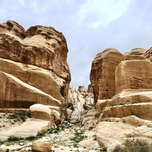 Exploring a day in Lost City of Petra