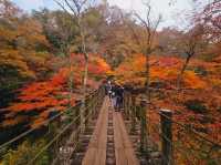 The foliage at Hananuki Gorge