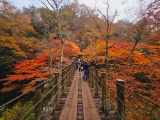 The foliage at Hananuki Gorge