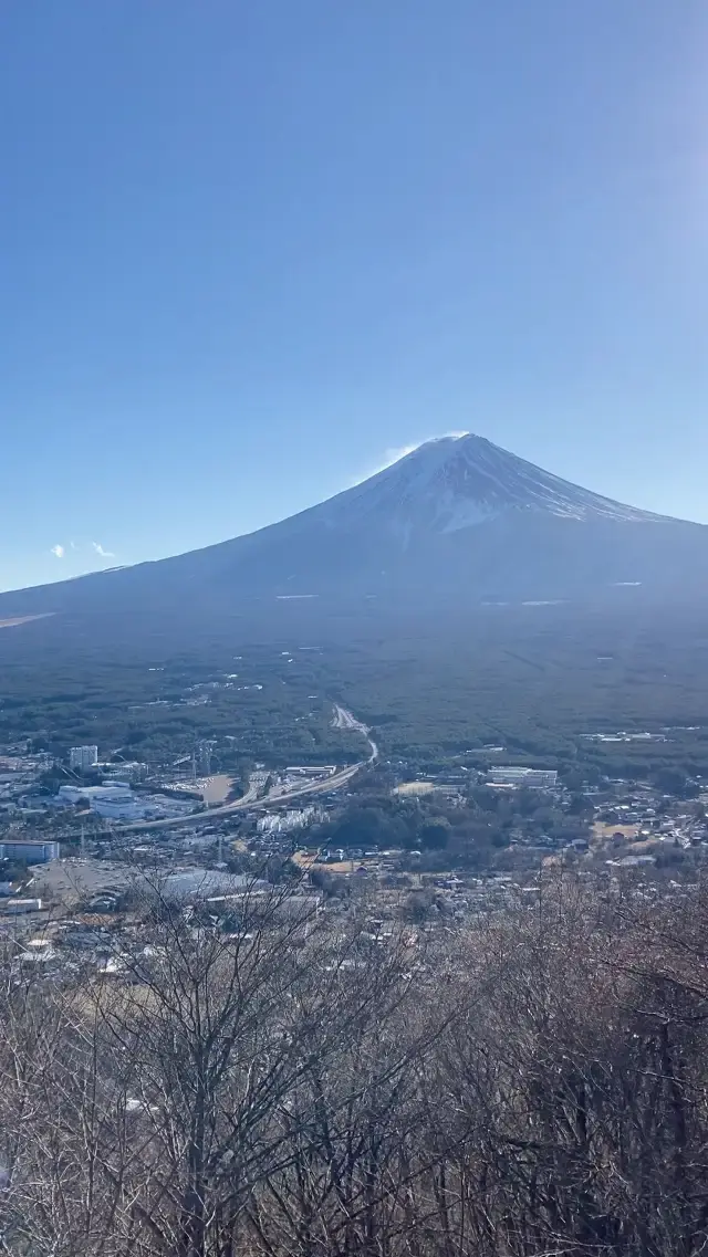 富士山下🗻