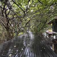 ขานไม้ ชายเล (Lake house)