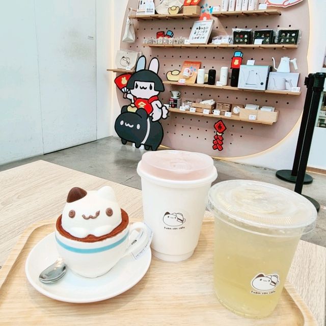 Foam Cat Cafe in Taichung