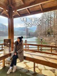 충청도지도 채우기 완성! 드디어 계룡을 가보다🤎