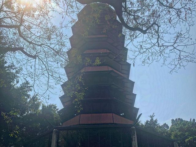 走進漂亮繡球花海 元朗公園