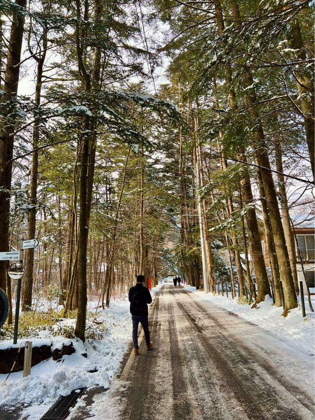 東京近郊🍀冬日輕井澤絕美打卡靚景—雲場池