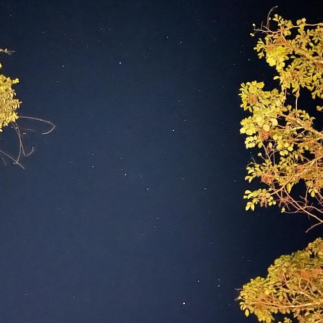 （桃園/復興）免搭帳⛺️的野溪露營-八度野溪露營區
