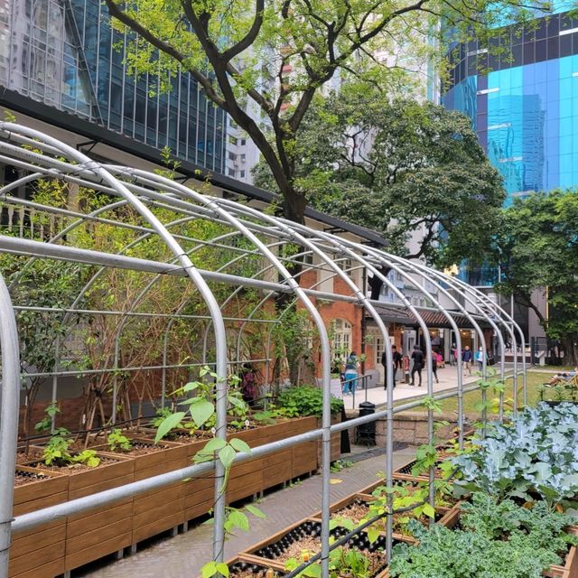 油街實現 - 二級歷史建築藝術中心