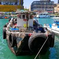 Typhoon shelter, pier and seafood
