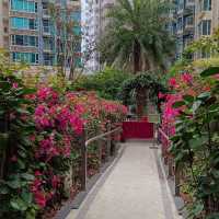 五樓户外平台花園 ！意外之外的美景打卡地！利東街商場 