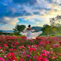 Flowers Village Khaoyai