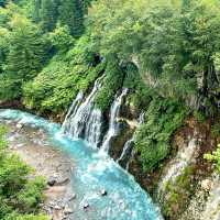 【北海道/美瑛町白金】白金青い池