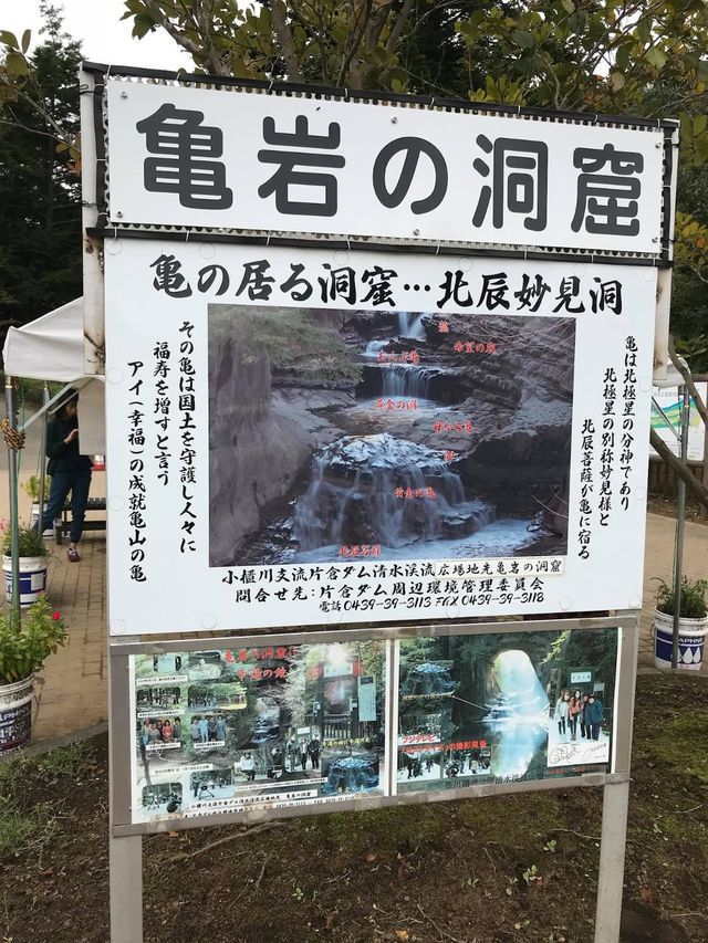 千葉秘景🤣濃溝の滝🥹心型光線❤️超令奇景