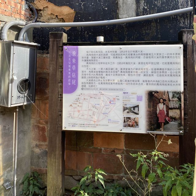 鳳飛飛的老家 🏠