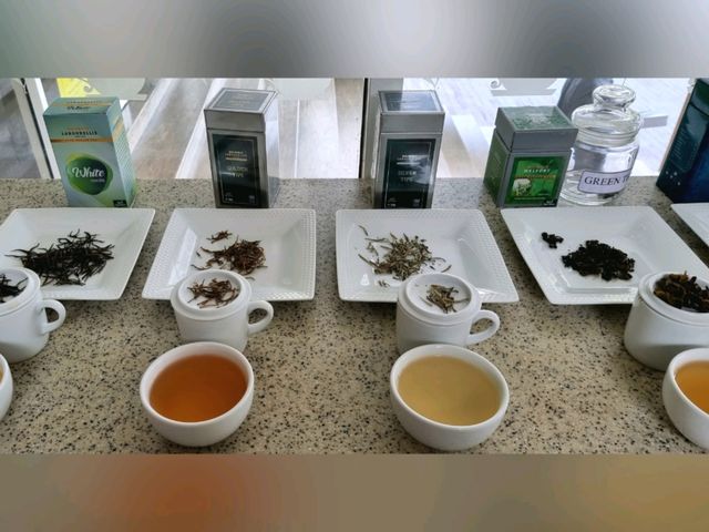 🇱🇰 Tea Factory Tour @ Damro Labookellie Tea Lounge 