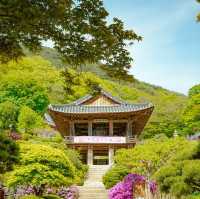 유네스코 세계유산에 등재된 영주 여행지