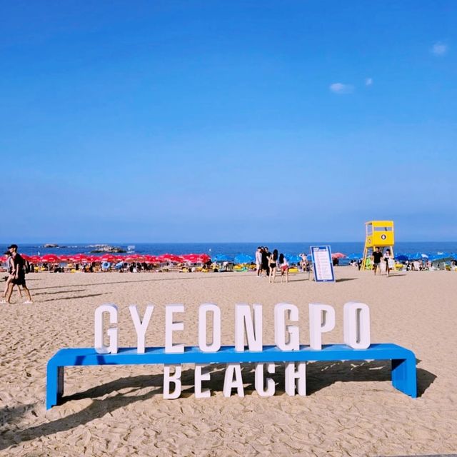🌊 에메랄드 빛 파도와 소나무 향기 가득한 경포대