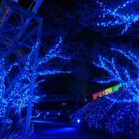 夢幻光之遊園地 - 大阪枚方公園（冬季限定）