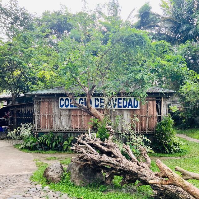 Paraiso de Avedad: Where Beauty Beckons