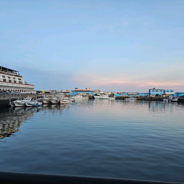 價廉物美的海景旅館🏝🛌