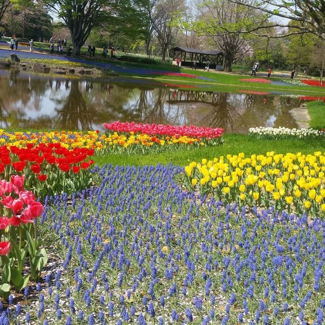 Showa Kinen Park