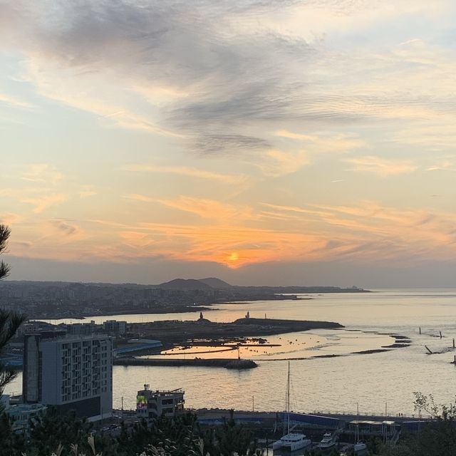 제주공항 근처 노을구경 “도두봉”☀️