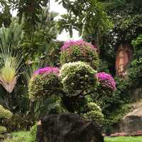 The Gardens of Panyu